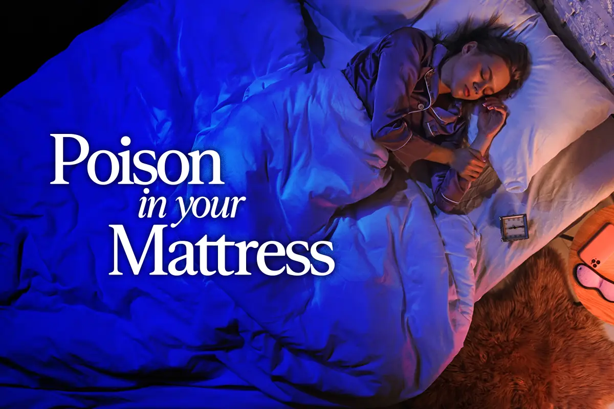 What Scientists Found in Your Bed thumbnail