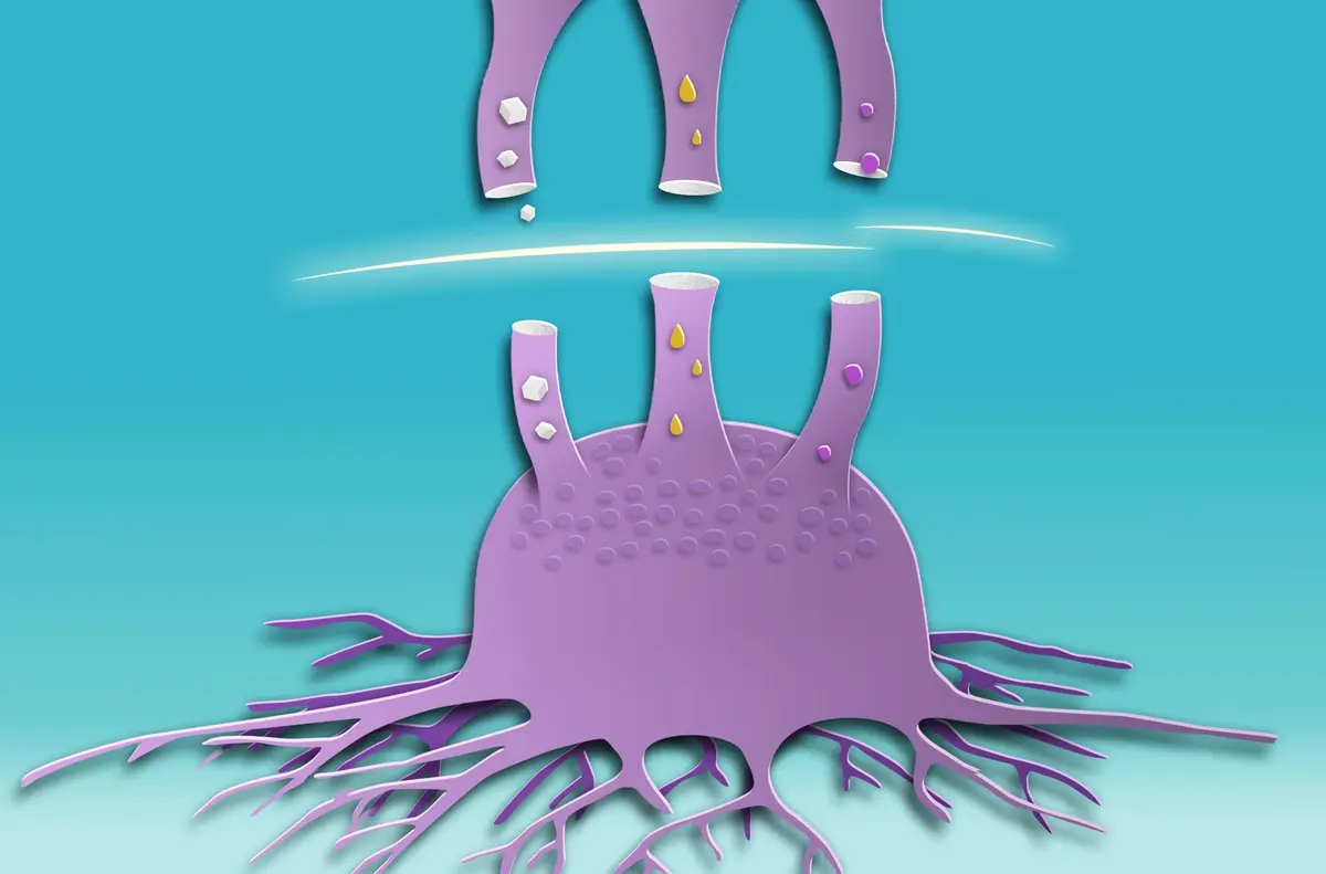 Beyond Sugar: Cancer’s Use of Alternative Fuels to Grow, and How to Stop It thumbnail