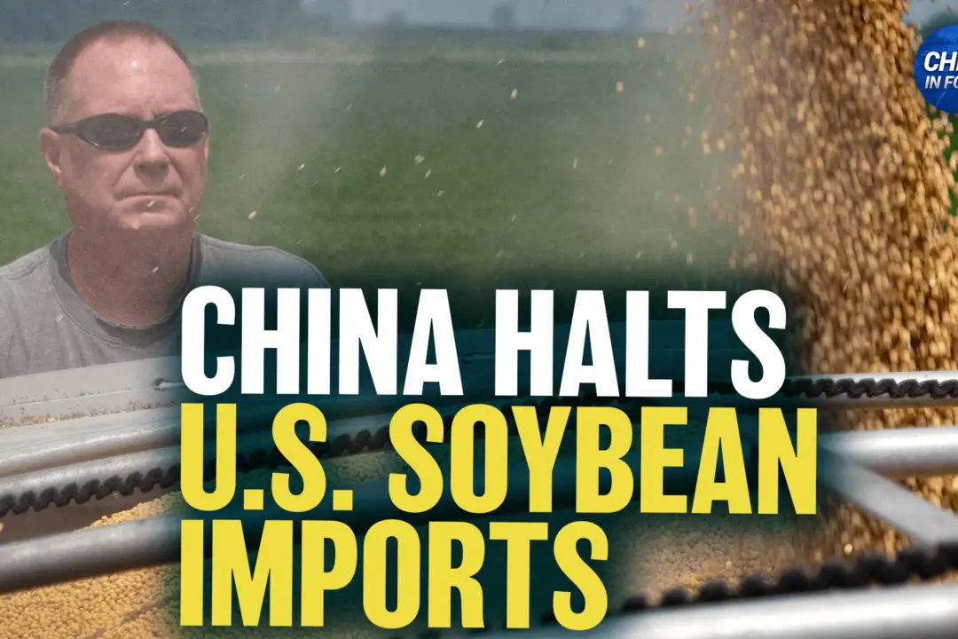China Halts US Soybean Imports Despite Trade Deal