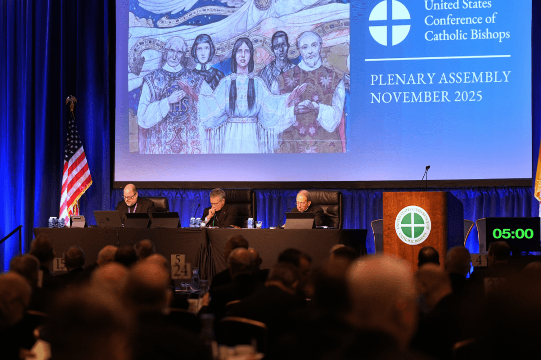 US Bishops Ban Transgender Surgical and Hormonal Procedures at Catholic Hospitals