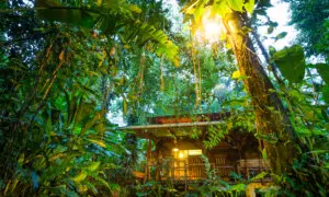 Where Americans Want to Travel in 2026 Is ‘Not so Obvious,’ Says Skyscanner