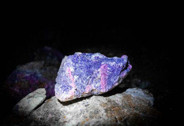 House Select Committee on the CCP Holds Hearing on Predatory Pricing in Global Mineral Markets