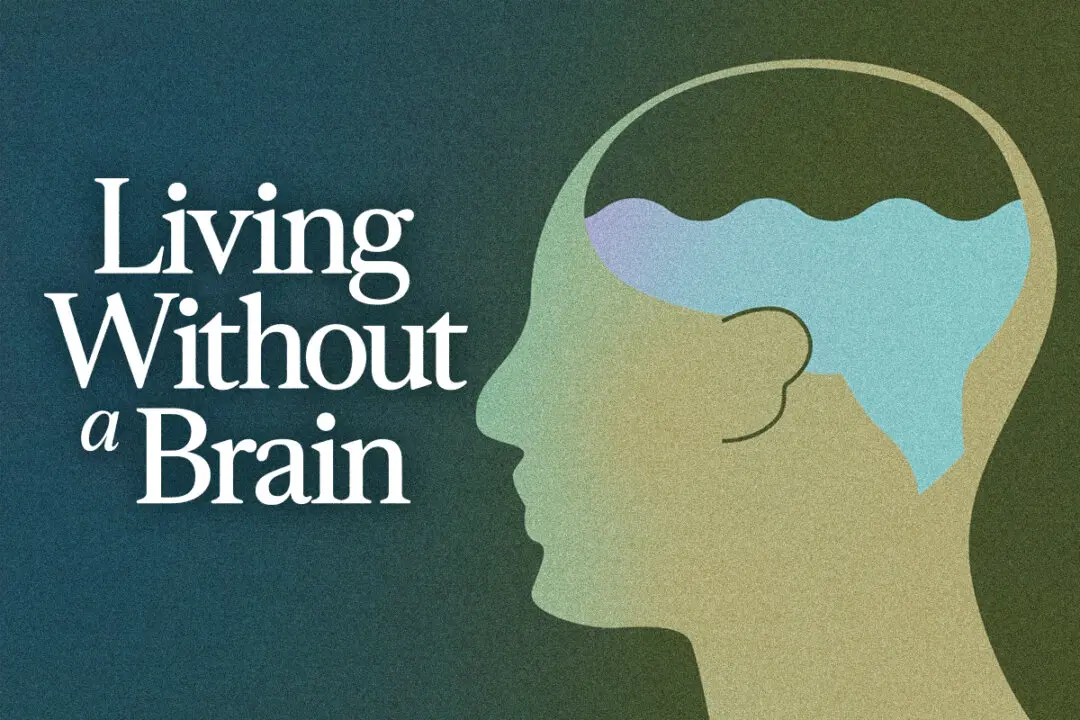 The Man Who Lived Without a Brain