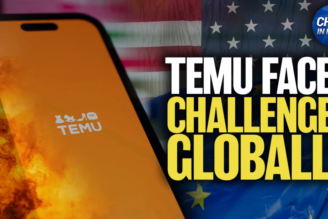 Temu’s Parent Company Faces Challenges From US, EU, and at Home