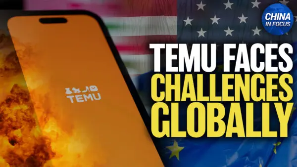 Temu’s Parent Company Faces Challenges From US, EU, and at Home