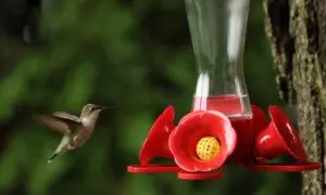 Christmas Gift Ideas Part 1