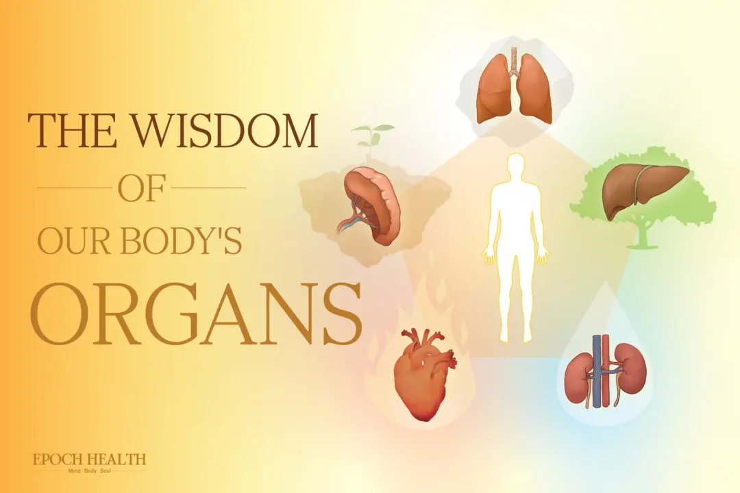 The Wisdom of Our Body’s Organs