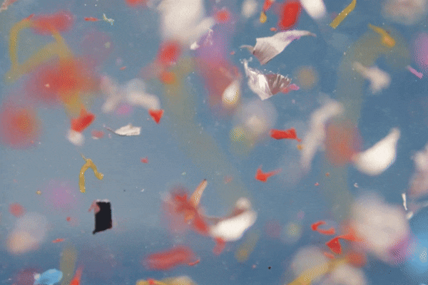 You’re Surrounded by Microplastics, but These Habits Can Help Reduce Exposure thumbnail