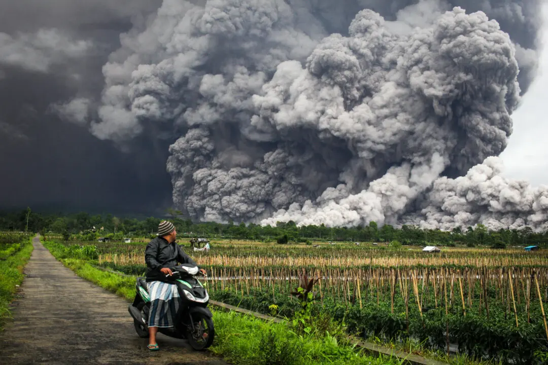 Day in Photos: Volcano Erupts in Indonesia, Patriot Systems Heading to Poland, and a White Rhinoceros Calf
