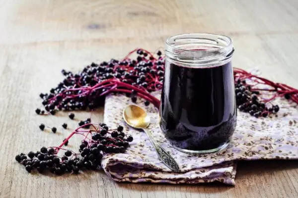 How to Make Elderberry Syrup: A Homemade Herbal Remedy for Cold and Flu Relief