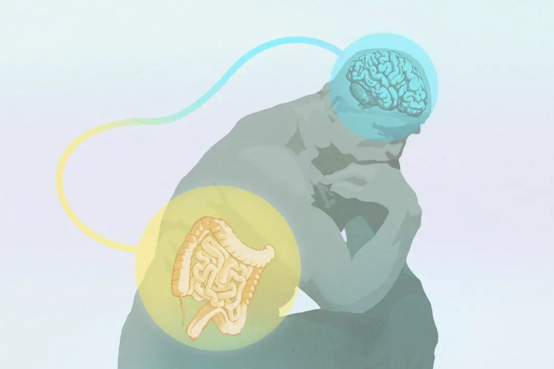 The Mystery of Intuition: Where Gut Feelings Really Come From