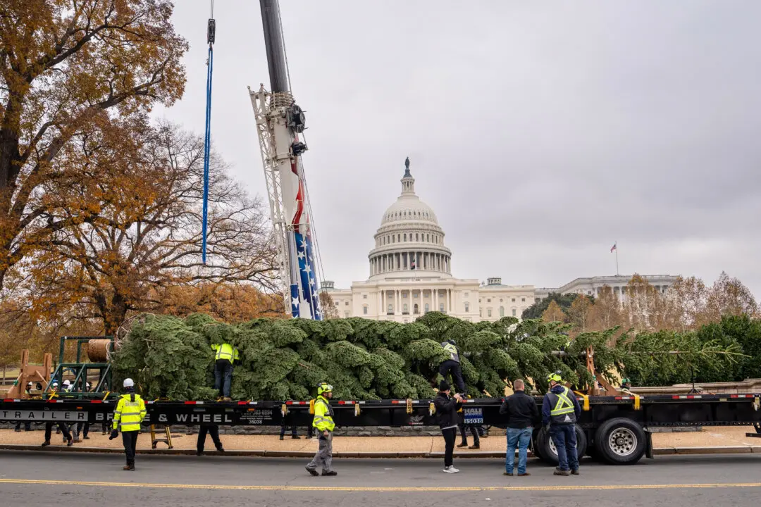 America in Photos: Capitol Christmas Tree, Trump Meets Saudi Prince, and Sooner Schooner Native Driver