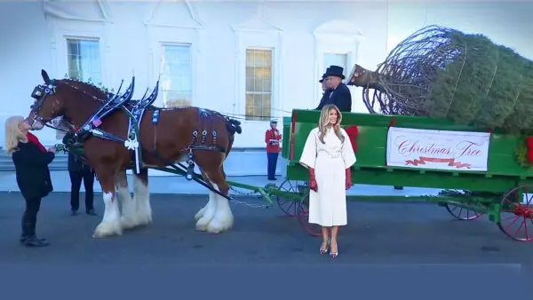 First Lady to Welcome the 2025 White House Christmas Tree
