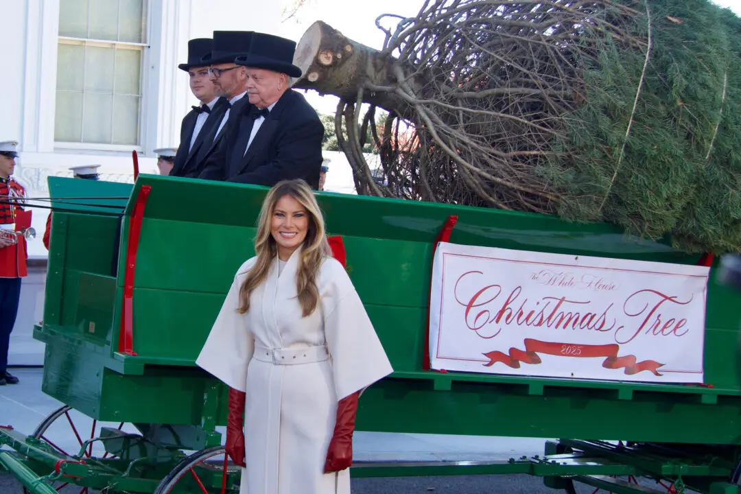 First Lady Receives Official White House Christmas Tree