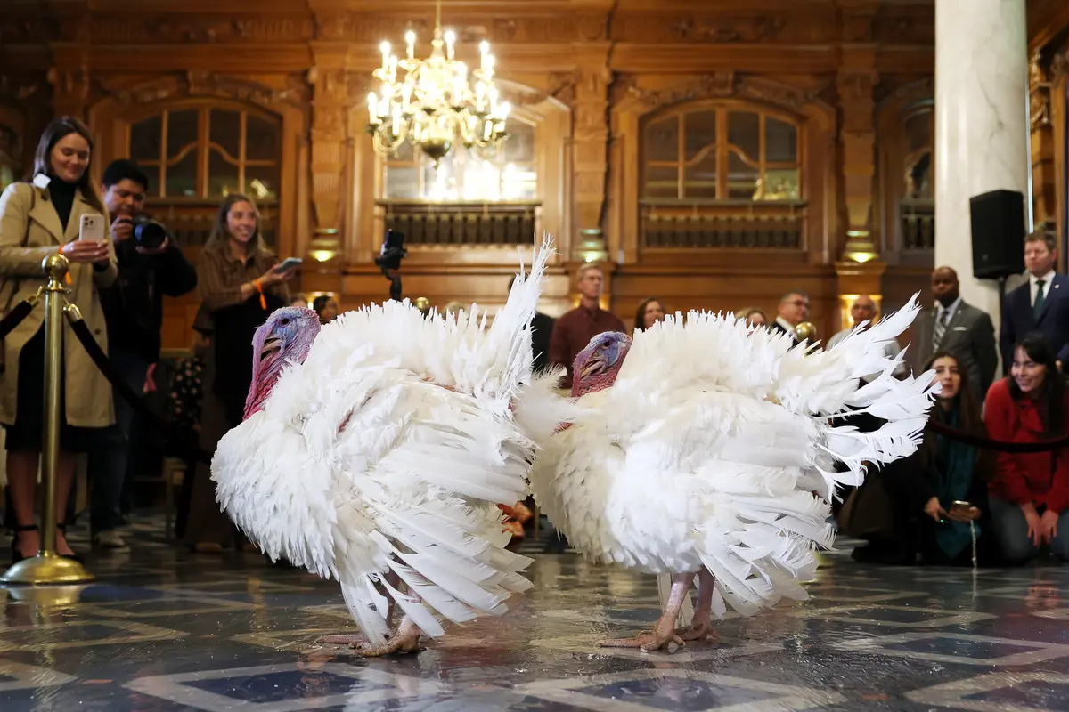 Day in Photos: Thanksgiving Turkeys, Olympic Flame Rehearsal, Explosion in Pakistan thumbnail