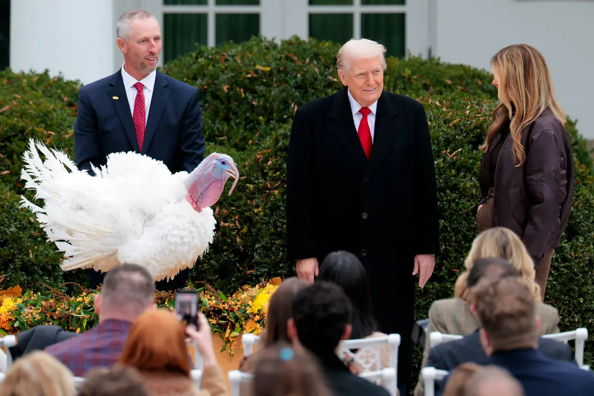 Trump Pardons 2 Turkeys, Gobble and Waddle, in Thanksgiving Tradition thumbnail