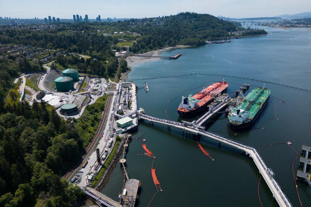 Trans Mountain Reports $127M Q3 Profit as Revenue and Utilization Rise