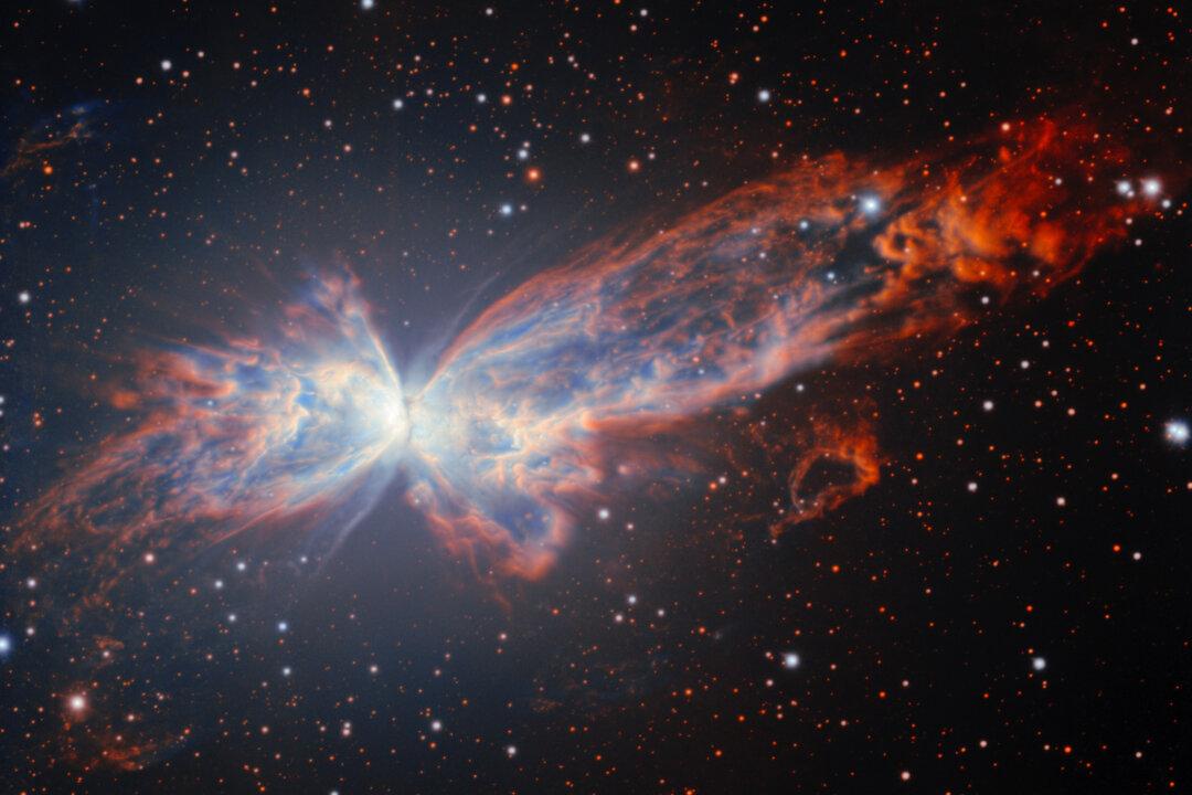 Telescope in Chile Captures Stunning New Picture of a Cosmic Butterfly