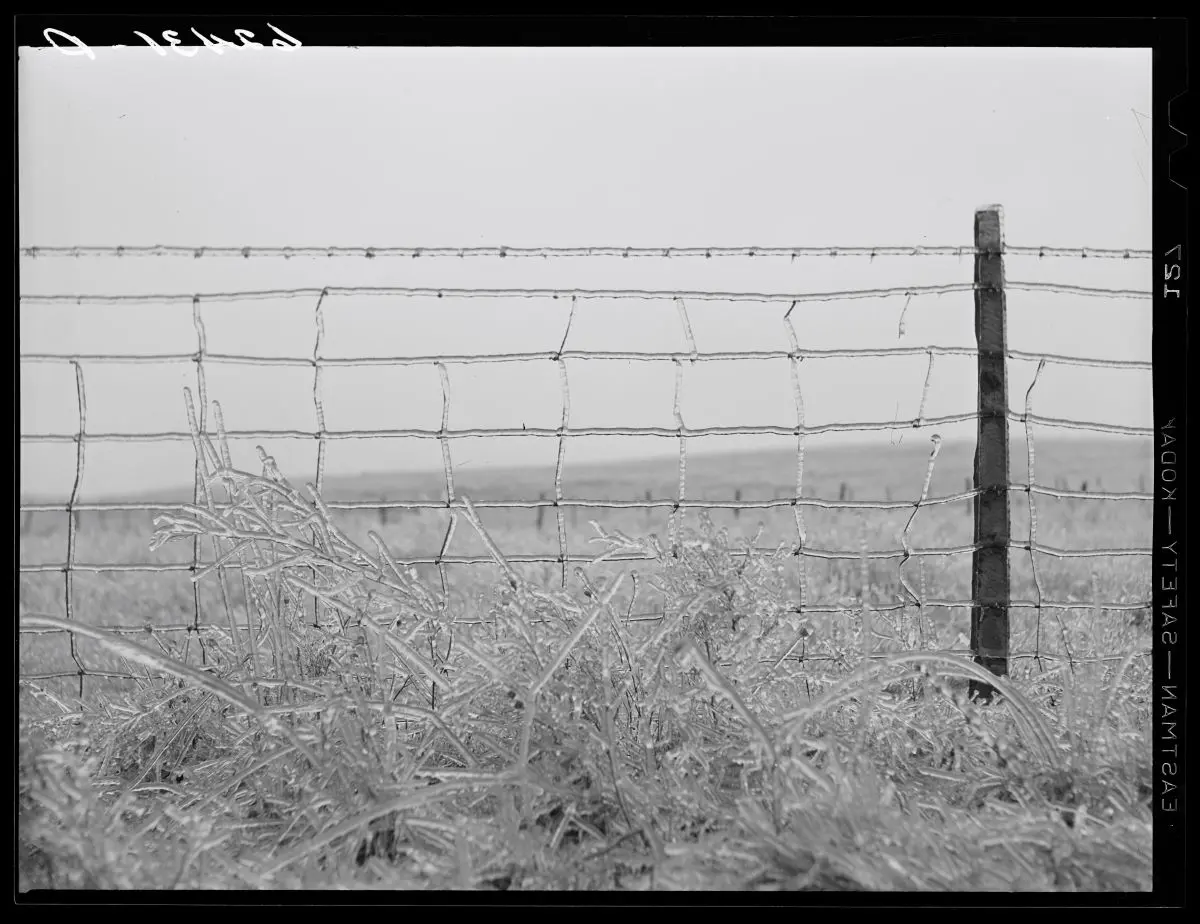 Joseph F. Glidden: The Man Who Fenced in America