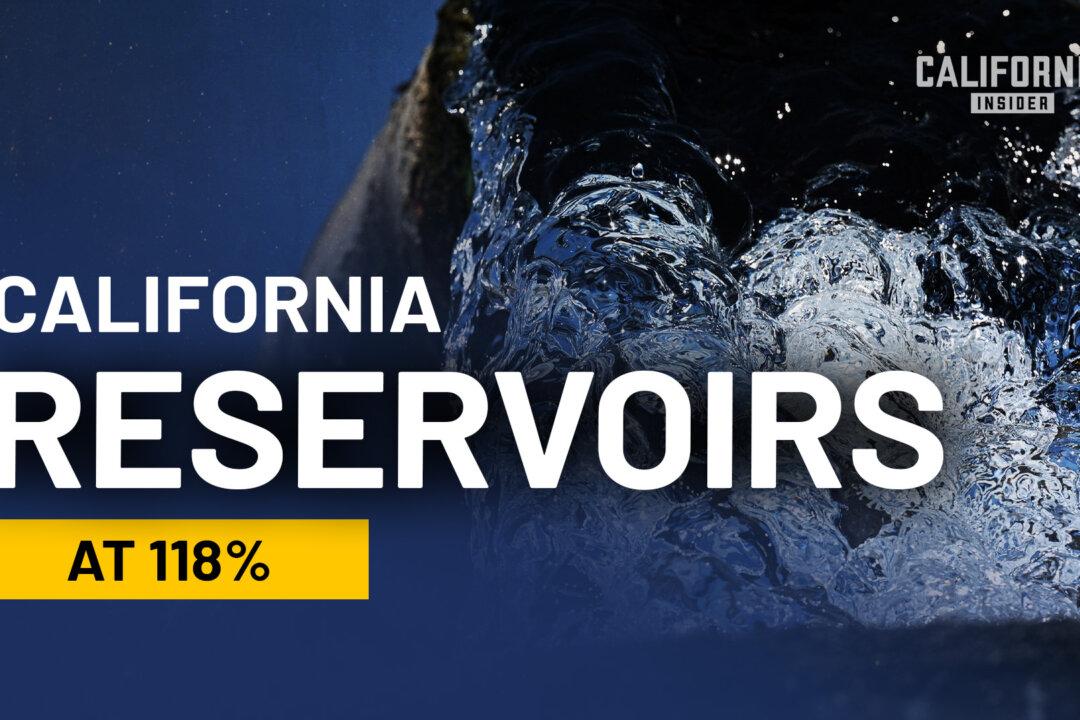 How Water Costs Fuel Food Inflation in California | Cannon Michael