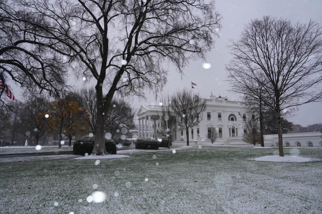 The Power of the President to Hire and Fire