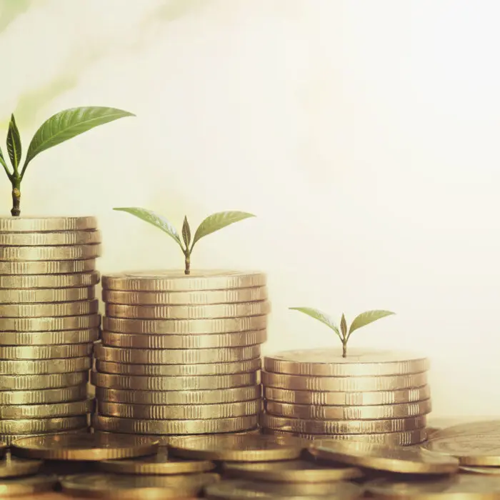 Retirement Income Strategies for the Long Haul