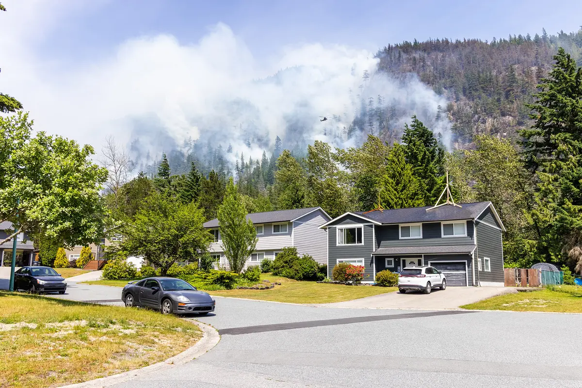 Ember Defenders: Practical Steps to Home Wildfire Protection thumbnail