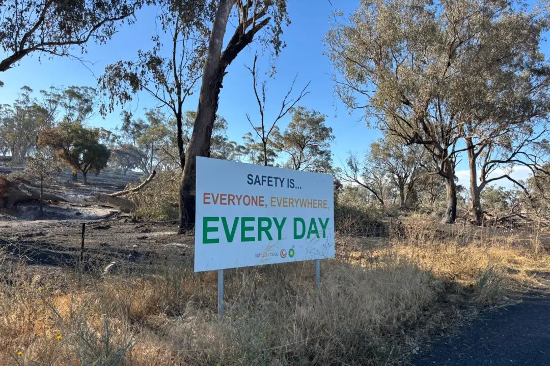 Deputy Mayor Questions Safety After Blaze at Australia’s Biggest Solar Farm