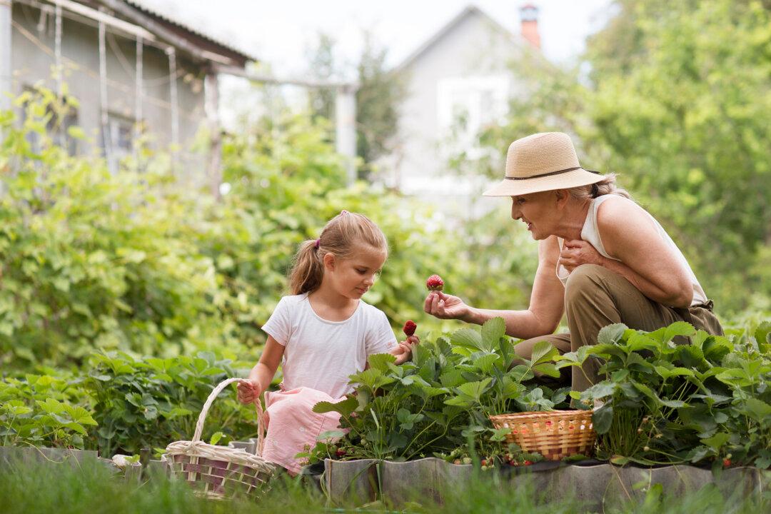 Weather Secrets: How Microclimates Make or Break a Garden