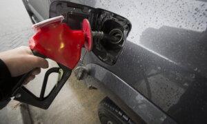 Canadians Remain as Dependent on Oil and Gas as Three Decades Ago Despite Government Policies: Report