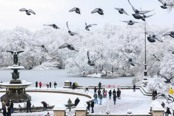 America in Photos: First Snow in the City, Flooding in Snohomish, and Honoring the Fallen
