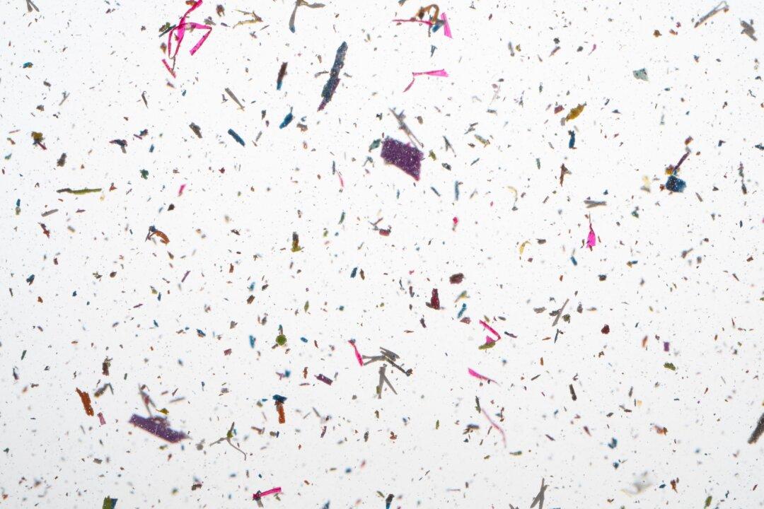 Common Household Sources of Microplastics Plus Easy Swaps