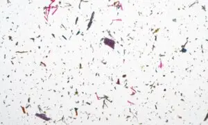 Common Household Sources of Microplastics Plus Easy Swaps