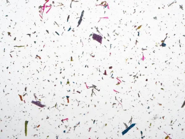 Common Household Sources of Microplastics Plus Easy Swaps