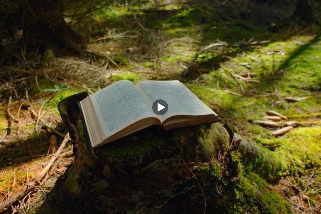 Chaos-Proof: Using Ancient Wisdom to Hack Modern Anxiety