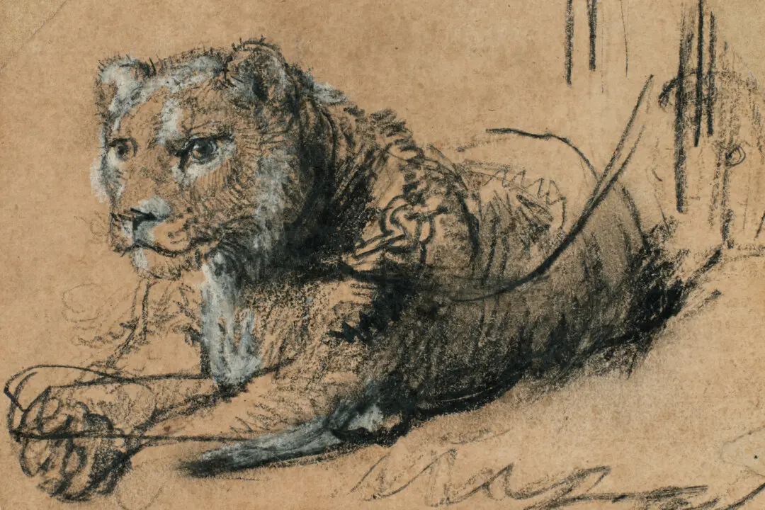 Rembrandt’s Rare Lion to Roar at Auction
