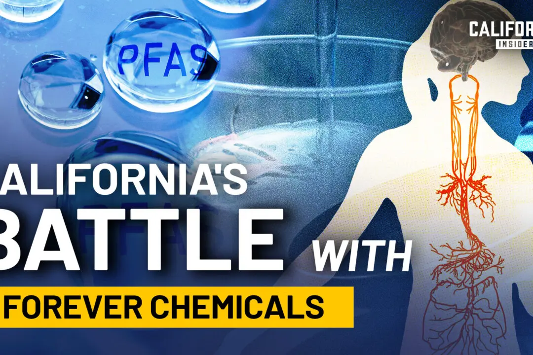 What Are Forever Chemicals and What Is California Doing About Them?