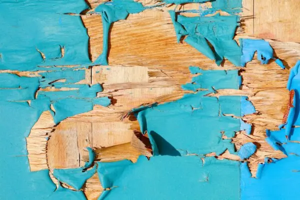 Test of Dangerous Materials During Project