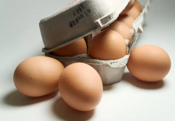 Debunking Dietary Deceptions: Do Eggs Raise Your Cholesterol?
