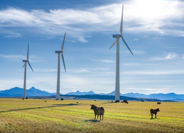 Tracing the Billions Spent on Net-Zero at All Levels of Government in Canada