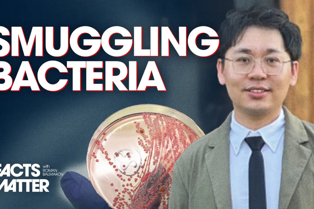 Another Chinese Researcher Arrested for Sneaking Hazardous Biological Material Into US