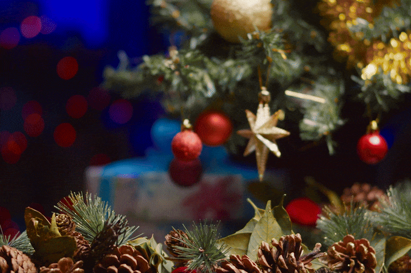 Rituals Change Your Brain in Ways Habits Never Will thumbnail