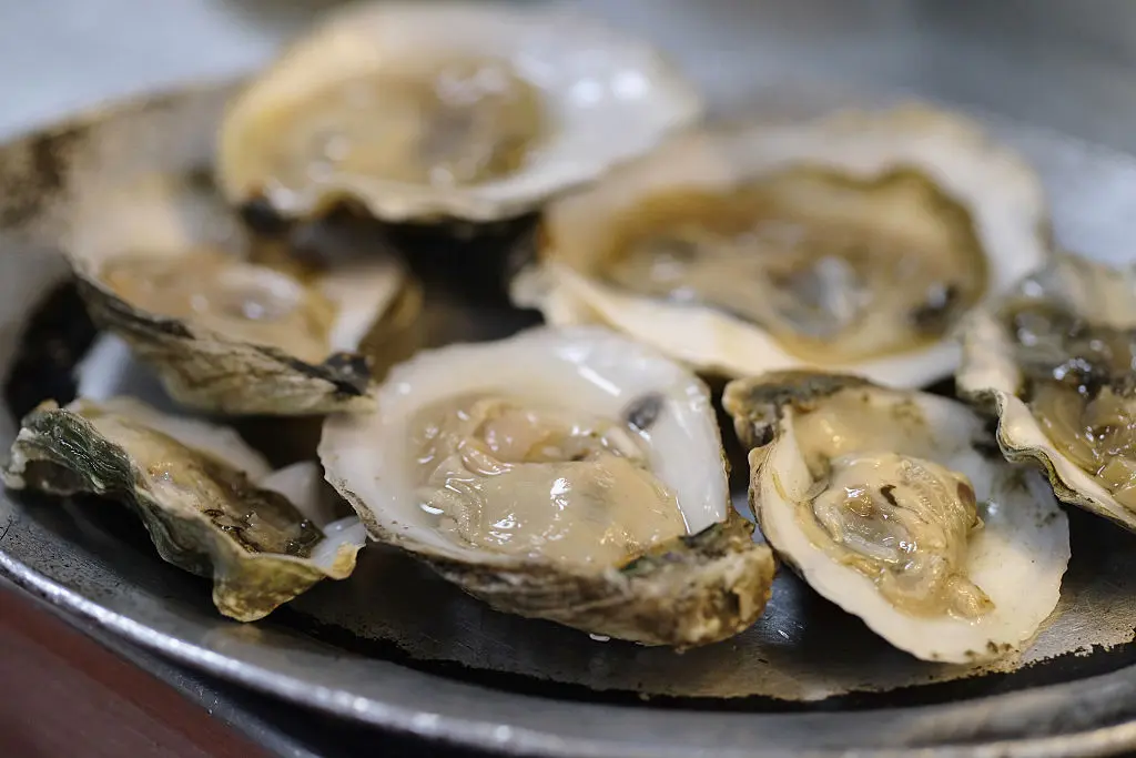 Salmonella Outbreak Linked to Raw Oysters Infects 64 People Across 22 States: CDC