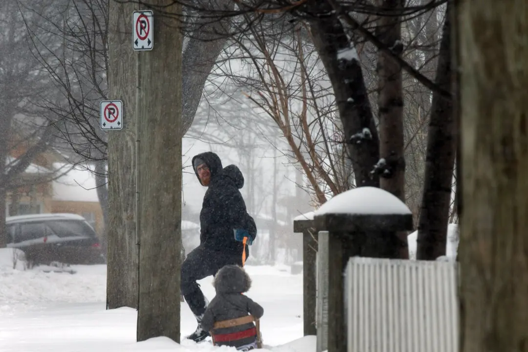 Freezing Rain, Snow Expected in Parts of Ontario as Newfoundland Braces for Blizzards