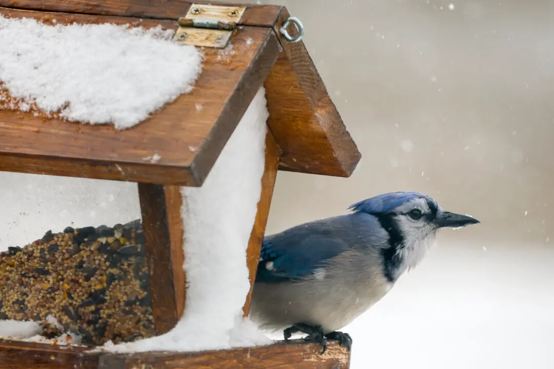 About 20 Weather Warnings in Effect Across Canada as Rain, Snow, Cold Hammer Country