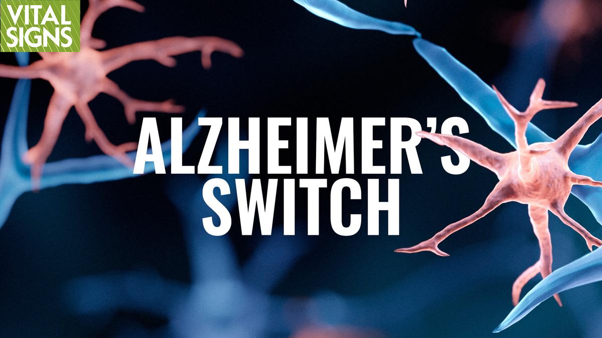 Shift Immune Cells From Attack to Brain-Defense Mode | David Perlmutter MD thumbnail