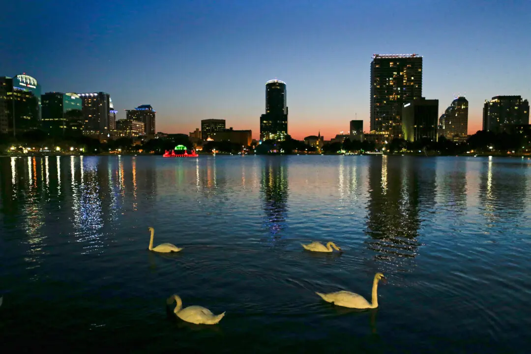 Officials Suspect Bird Flu After 12 Swans Die at Orlando’s Lake Eola