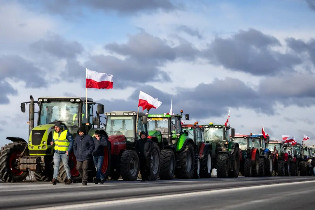 Day in Photos: Farmers’ Protest in Poland, Preparing New Year’s Fireworks, and Newborn Elephant Calf