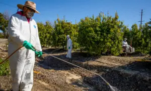 National Security, Glyphosate, and Accountability