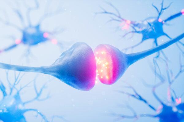 How to Feel Joy in a Dopamine-Saturated World